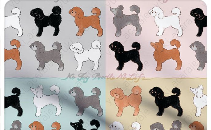 No Toy Poodle No Life