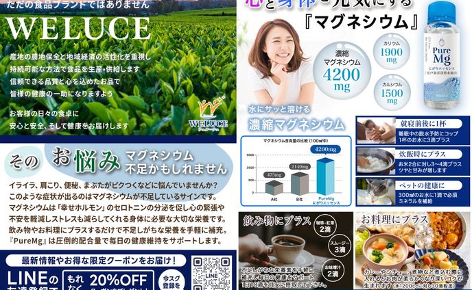 チラシ、picture