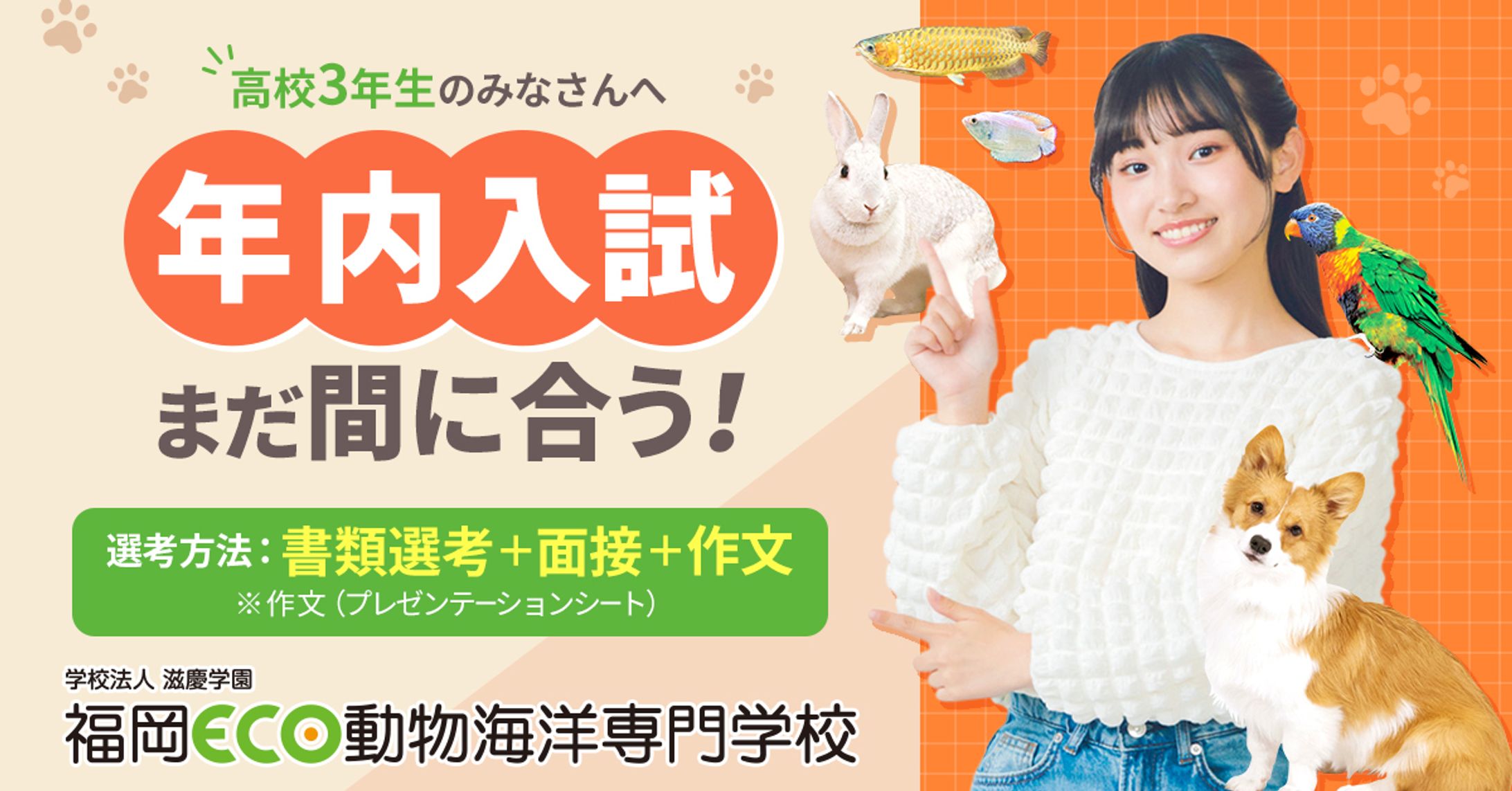 動物系の学校の入試訴求-1