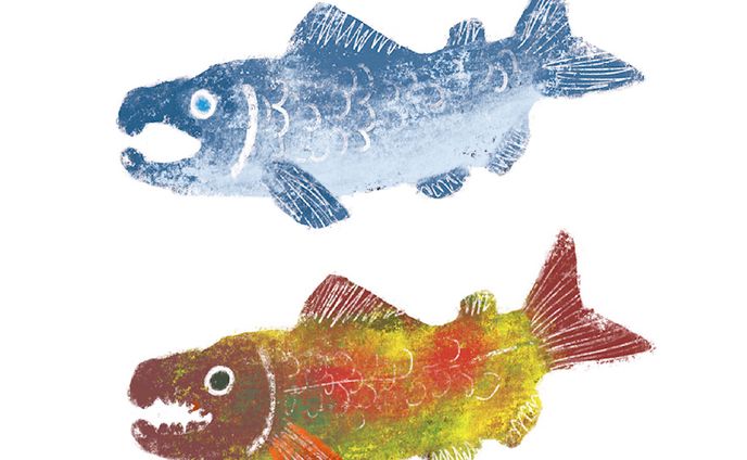 自主制作　さけLOVE