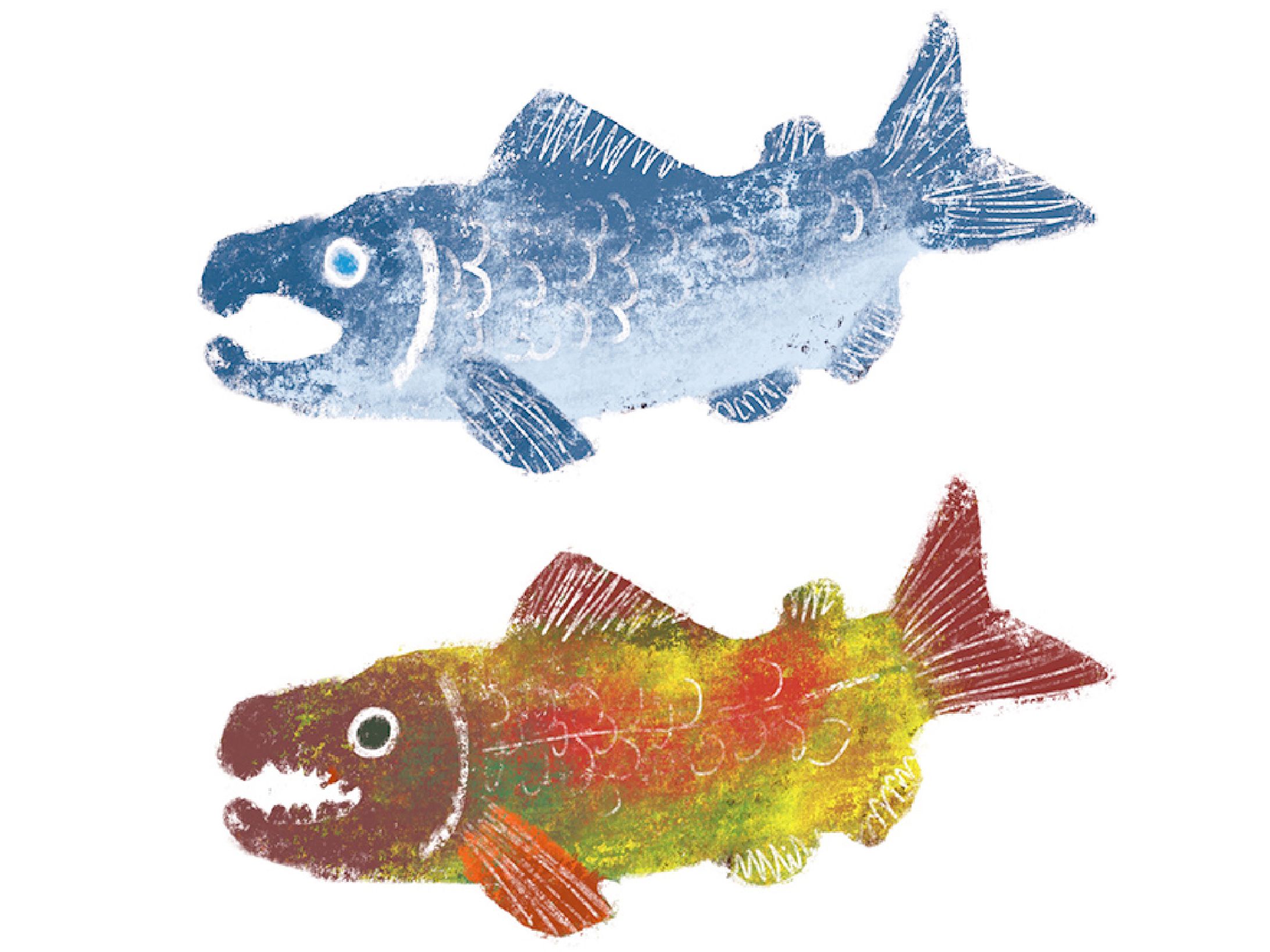 自主制作　さけLOVE-1