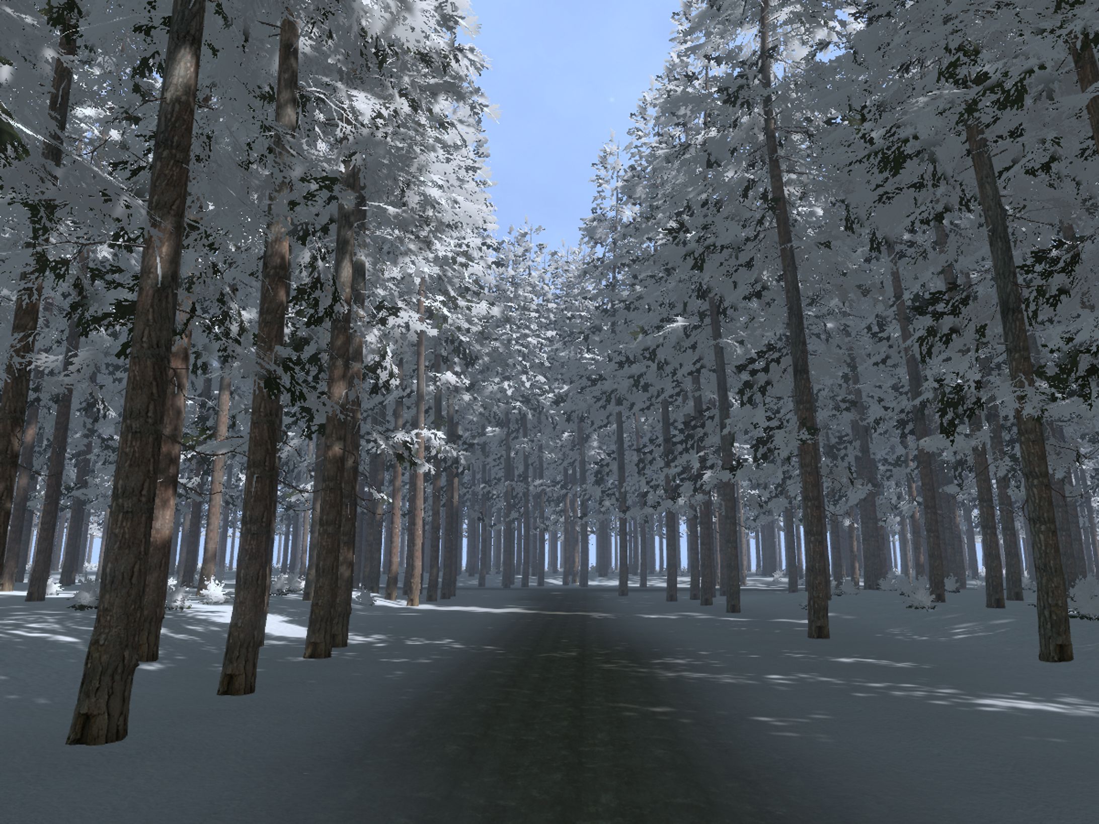 冬森 （Winter Forest）-1