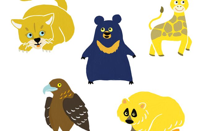 クリエイター、浦和レッズ