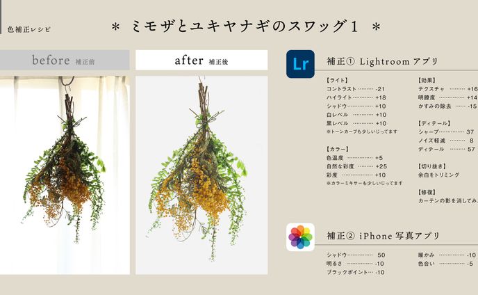 レシピ、ポートフォリオ
