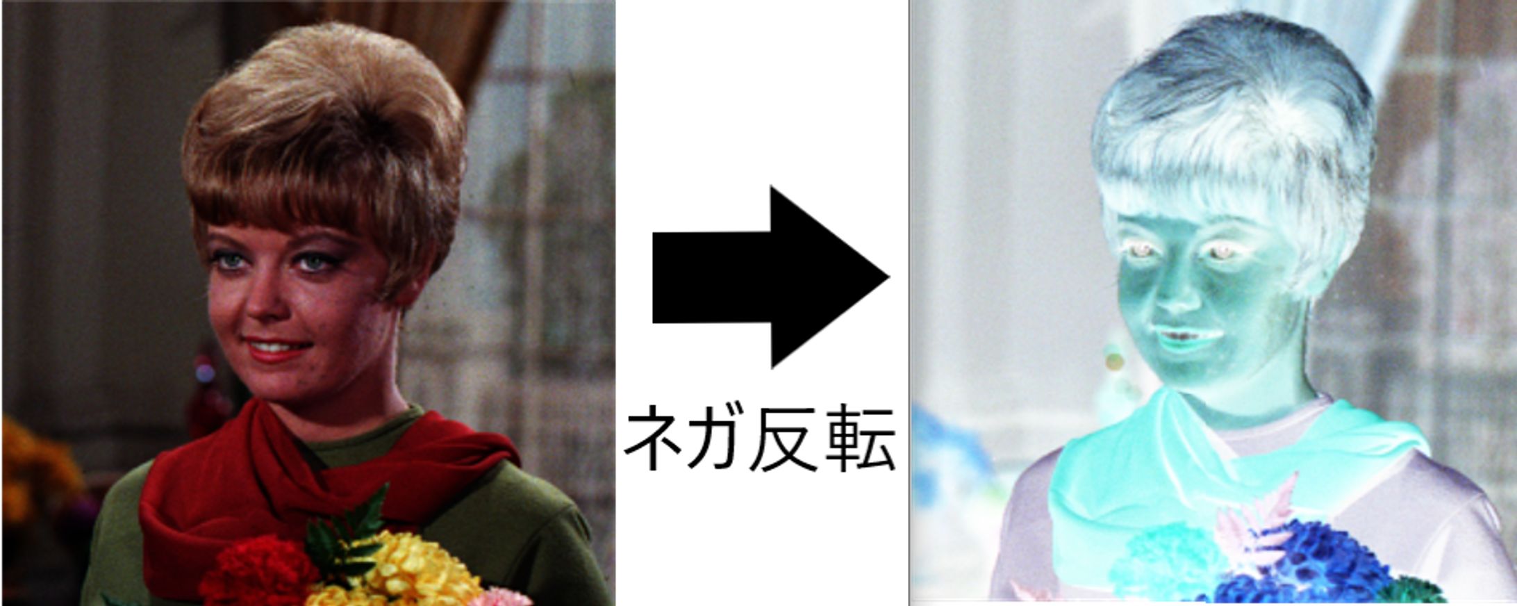 画像処理 [ネガ反転]-1