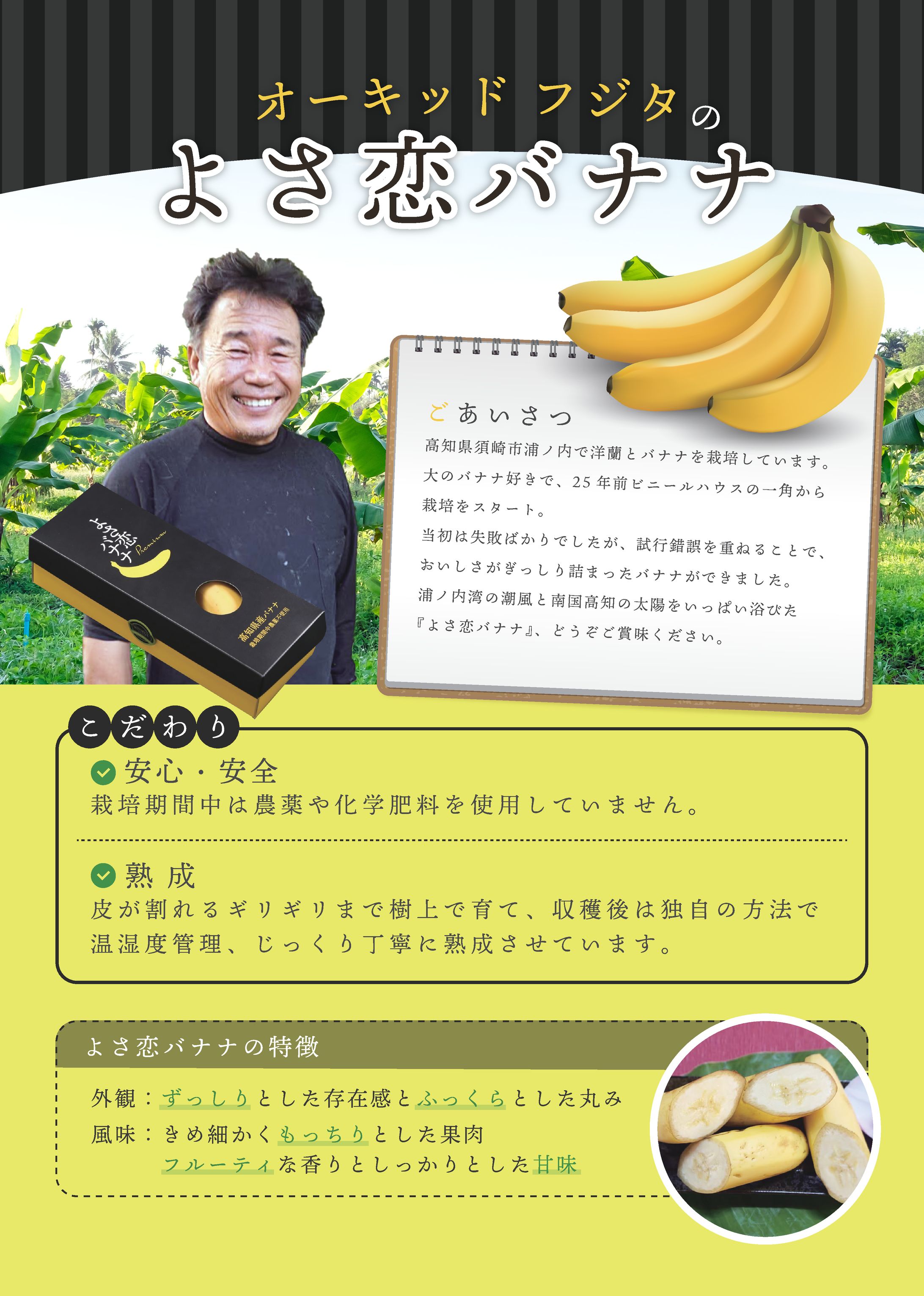 販促チラシ-1