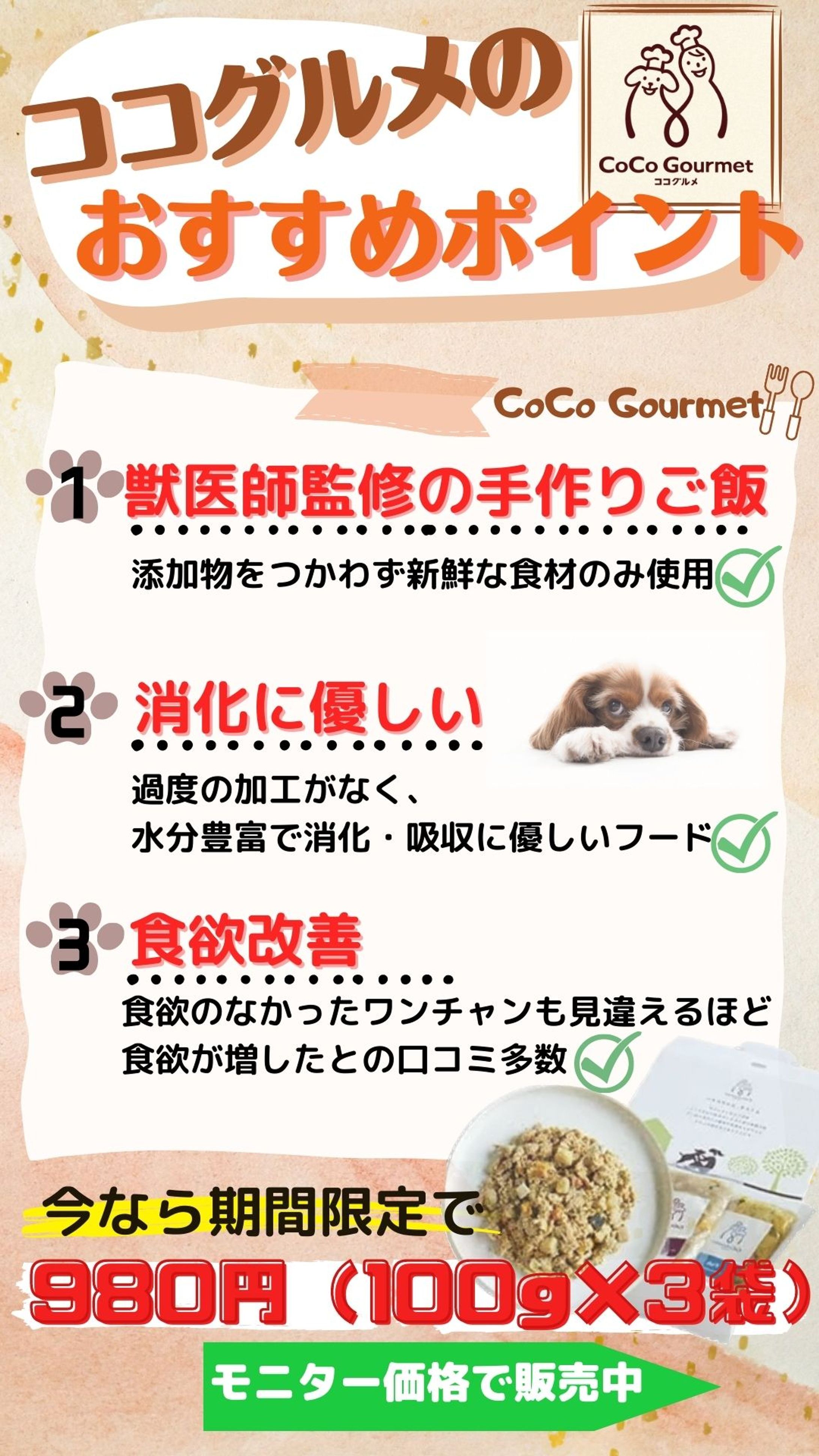 ペットフード　広告チラシ-1