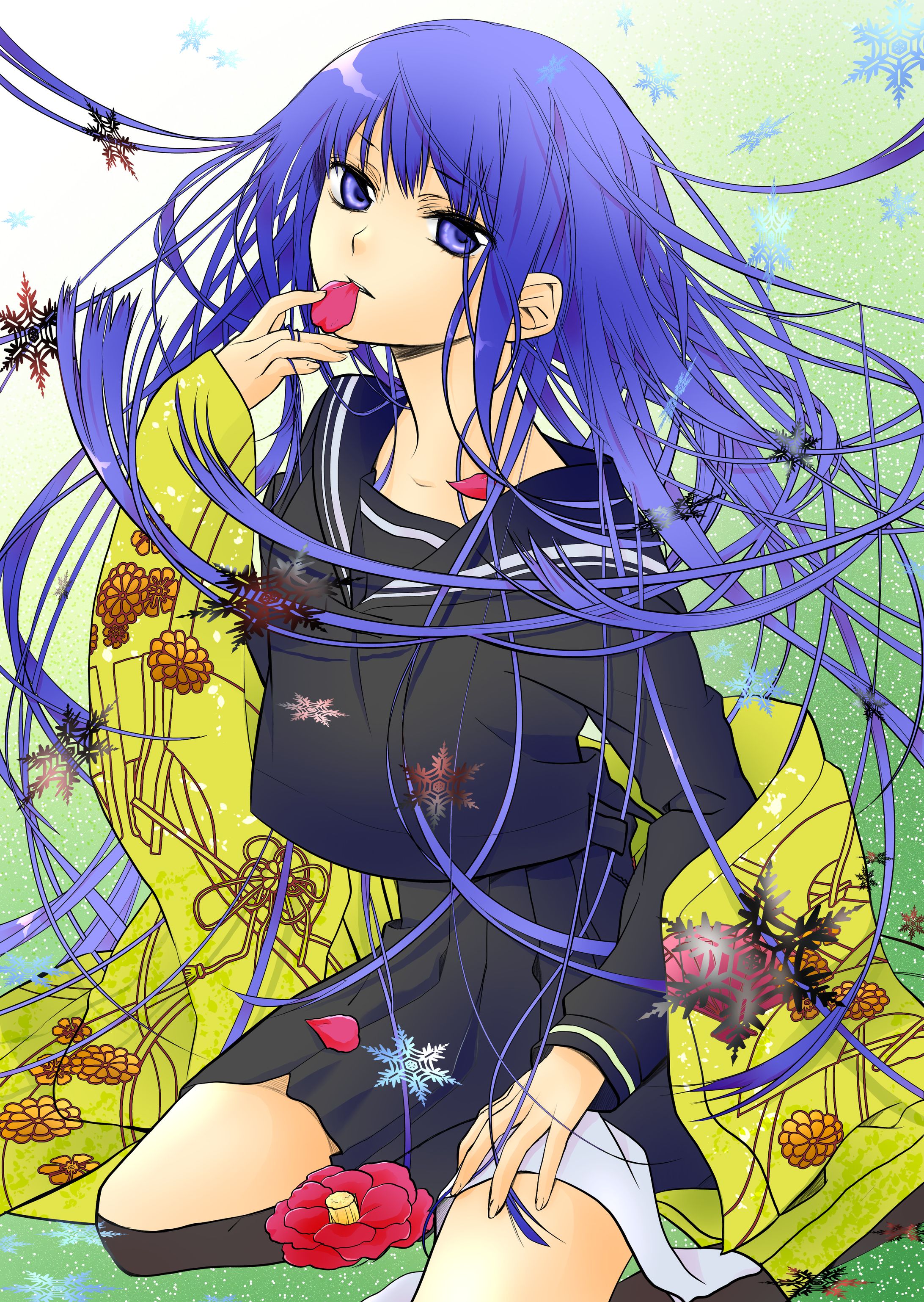 着彩のみ-1