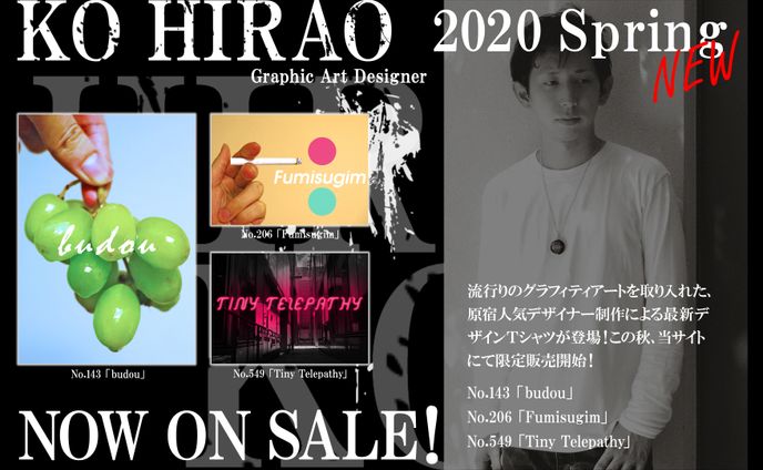 自身がモデルのCDジャケット風ポスター(現職)