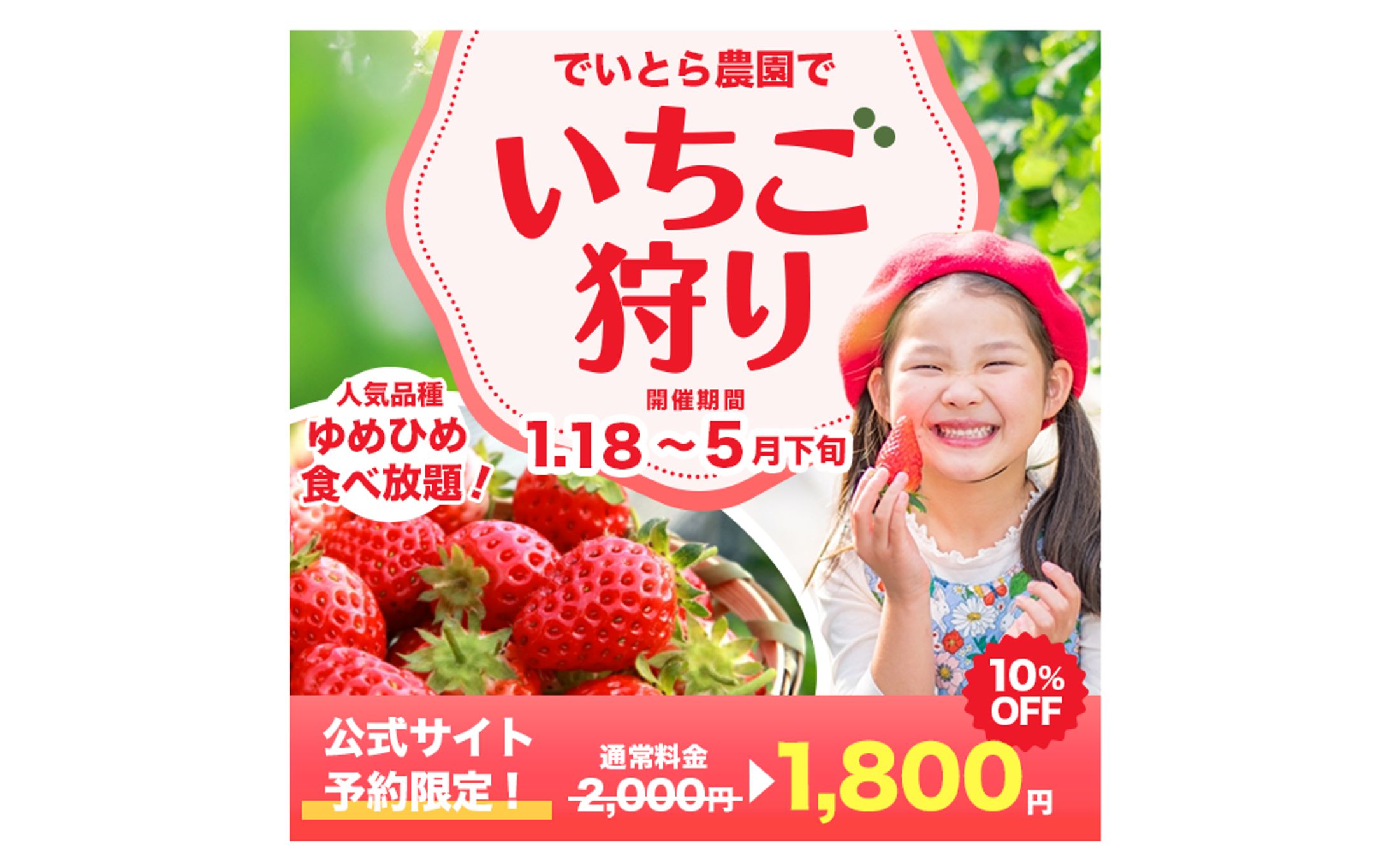 いちご狩りバナー（自主制作）-1
