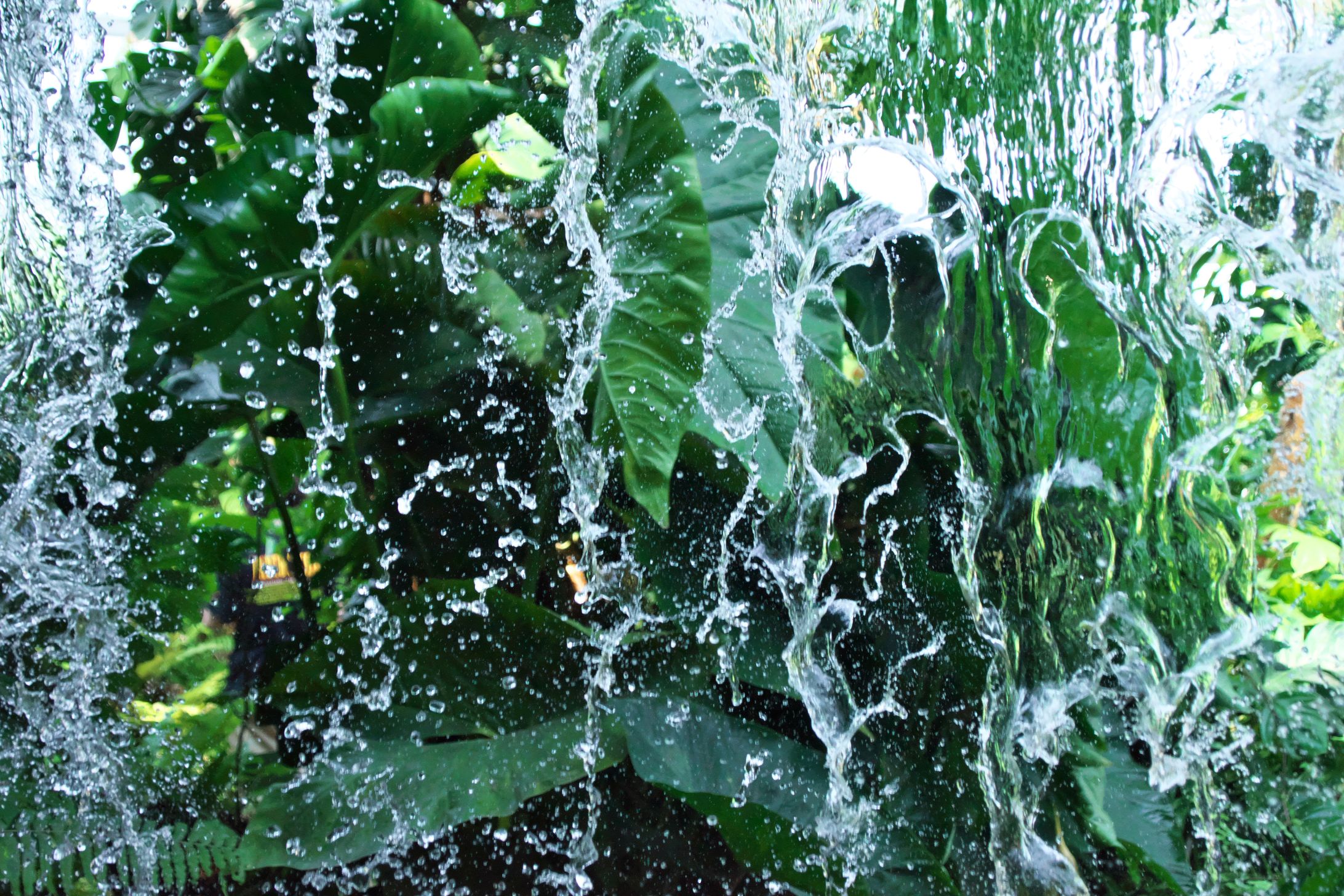 水の命-1