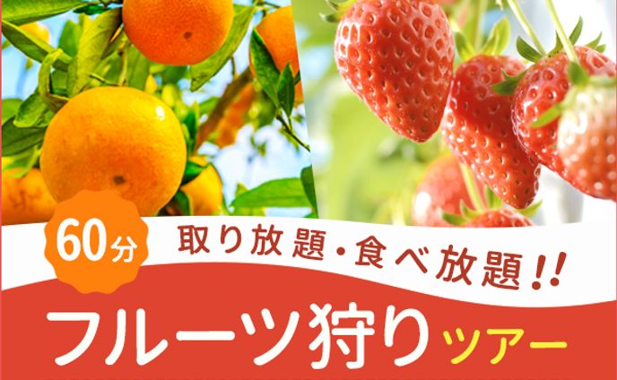 バナー：フルーツ狩りツアー