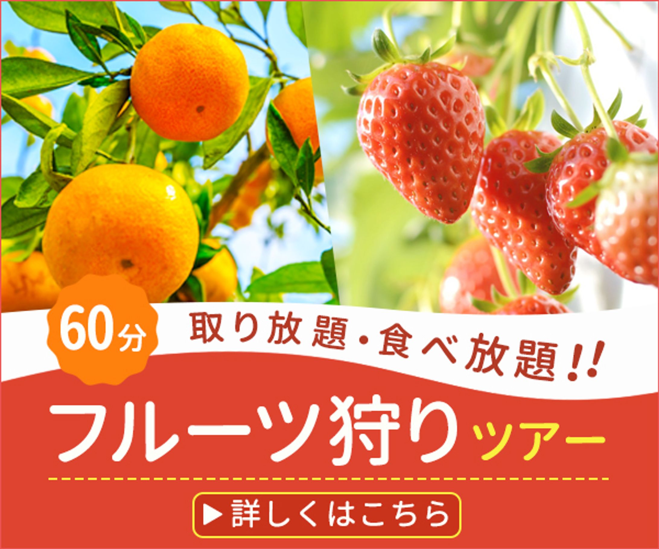 バナー：フルーツ狩りツアー-1