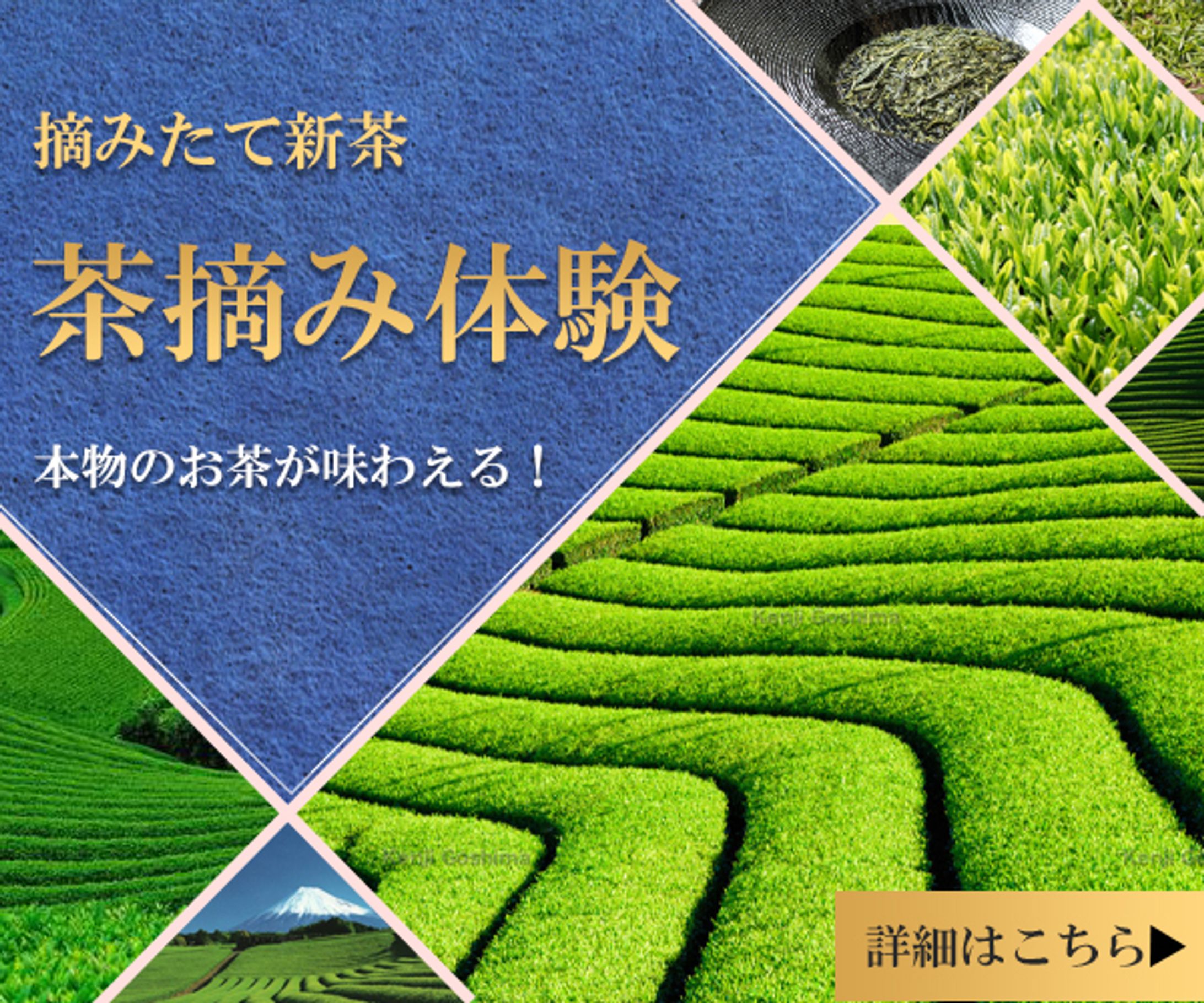 茶摘み　バナー-1