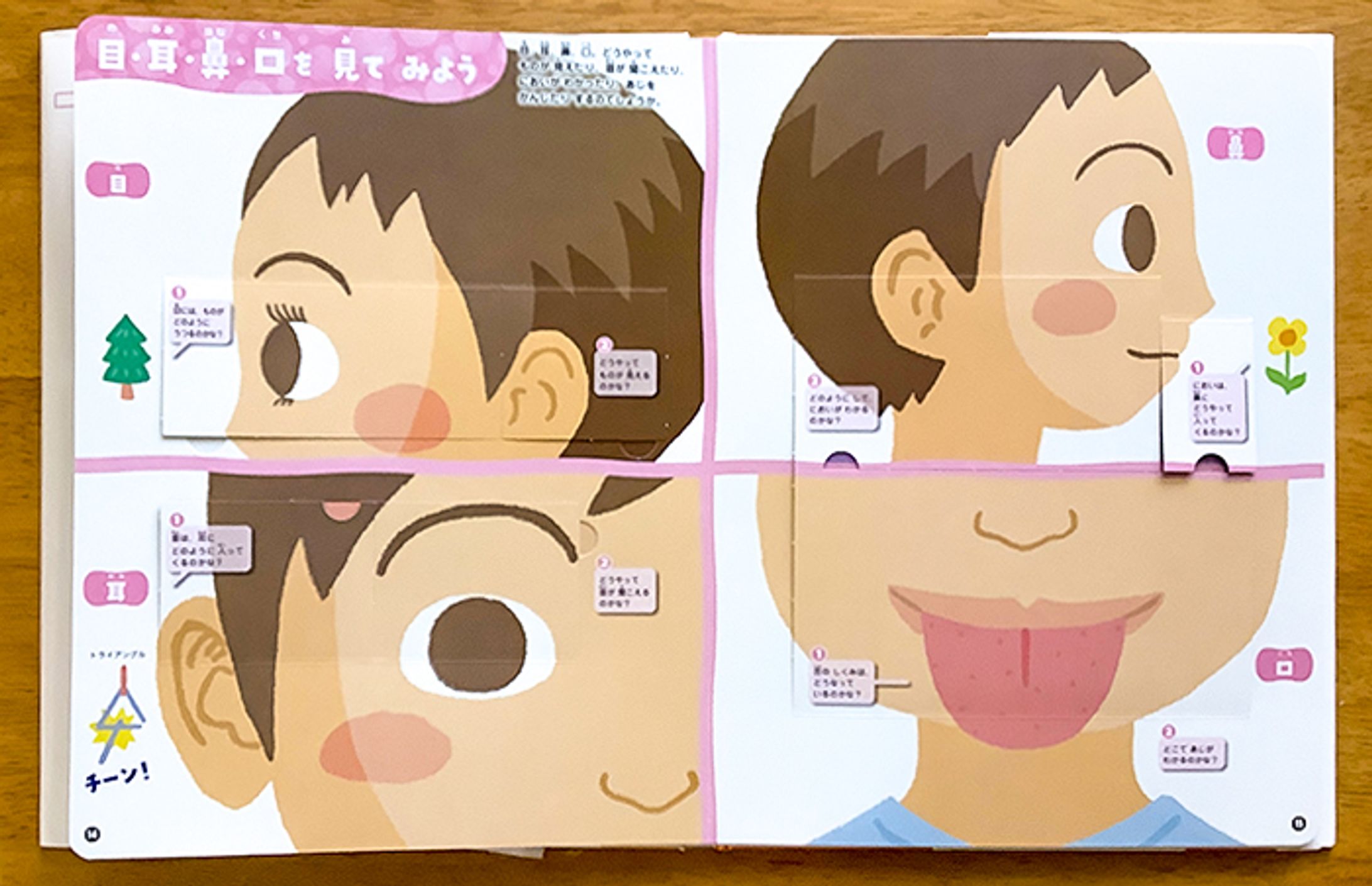 学研プラス様【からだのしくみ図鑑（めくって学べる）】-1