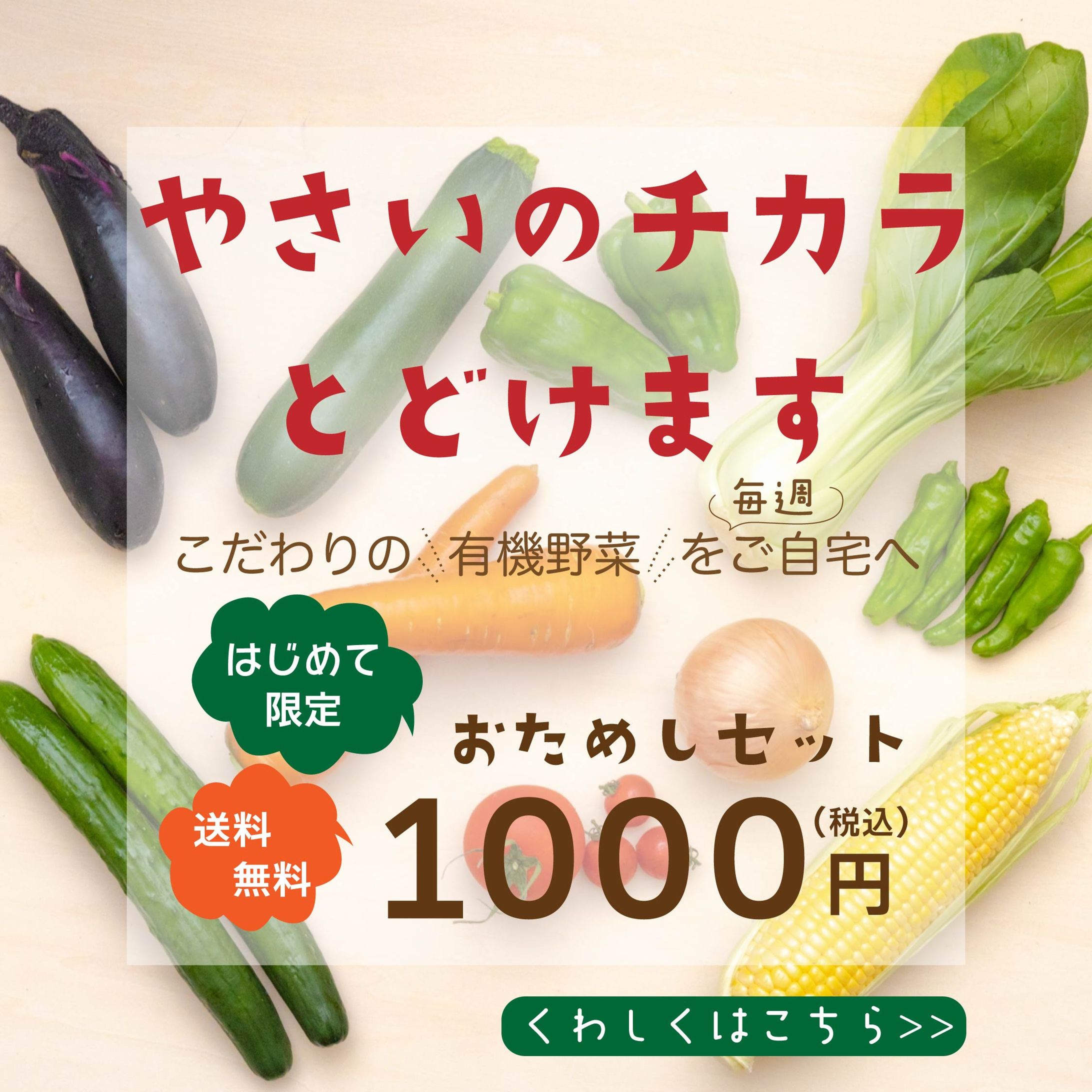 野菜のサブスク　バナー2-1