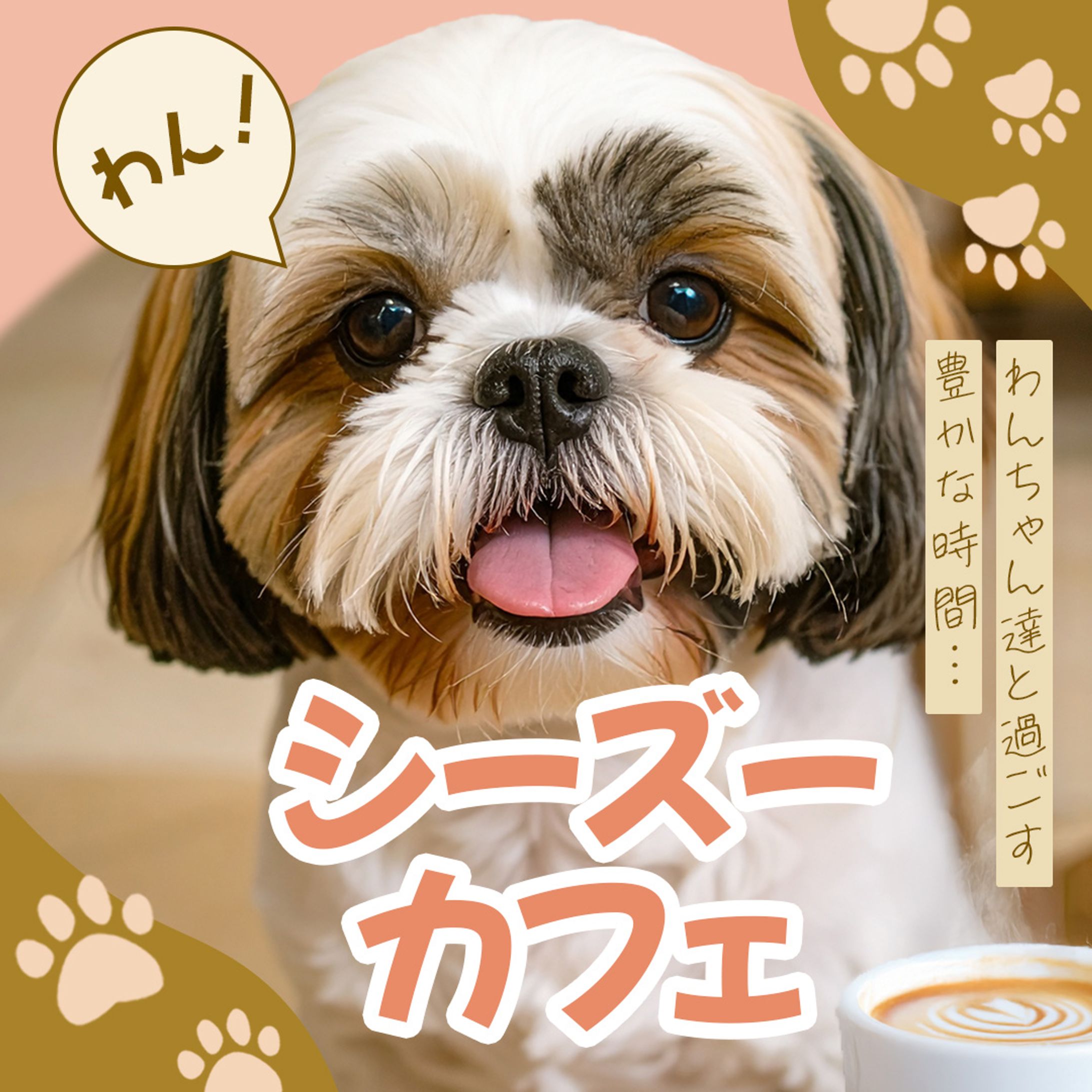 dogCafe-1