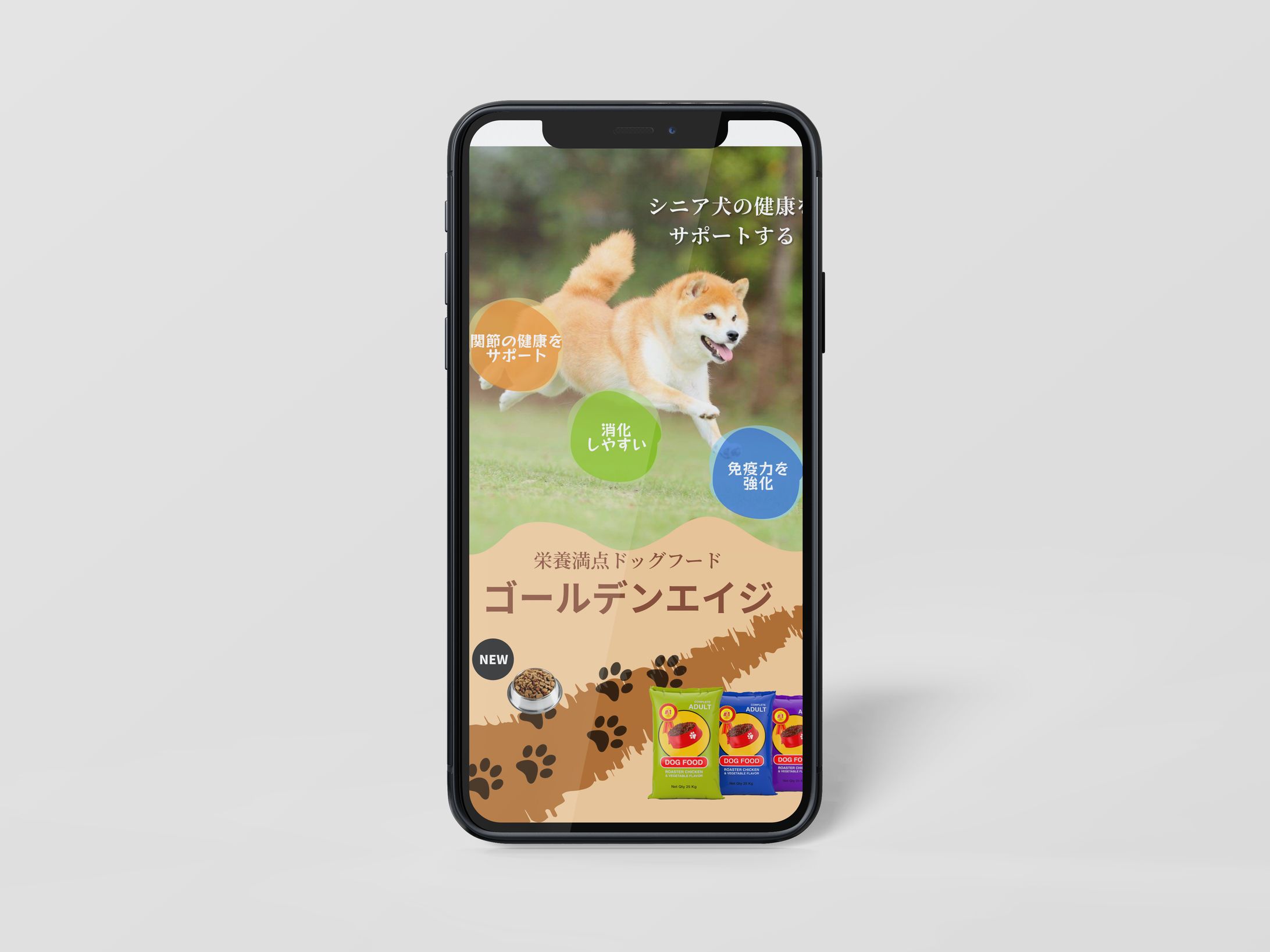 【バナー】シニア犬向けドッグフード広告バナー-1