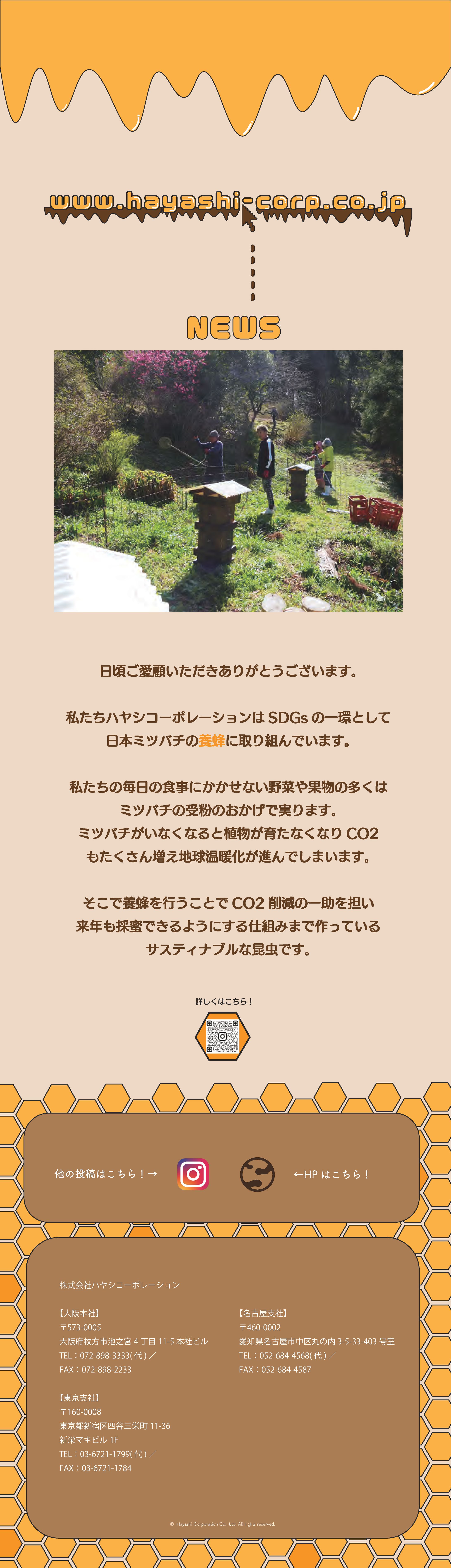 【チラシデザイン】養蜂-1