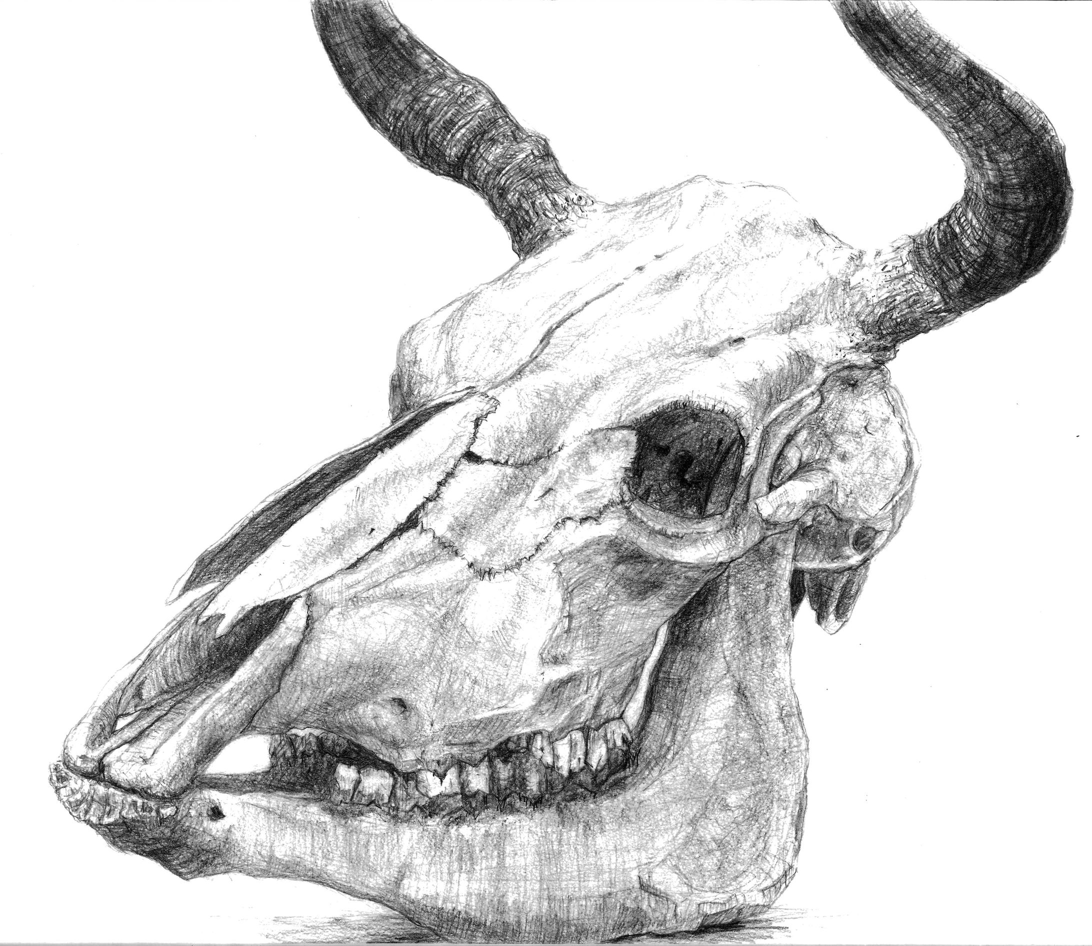 デッサン、クロッキー-1