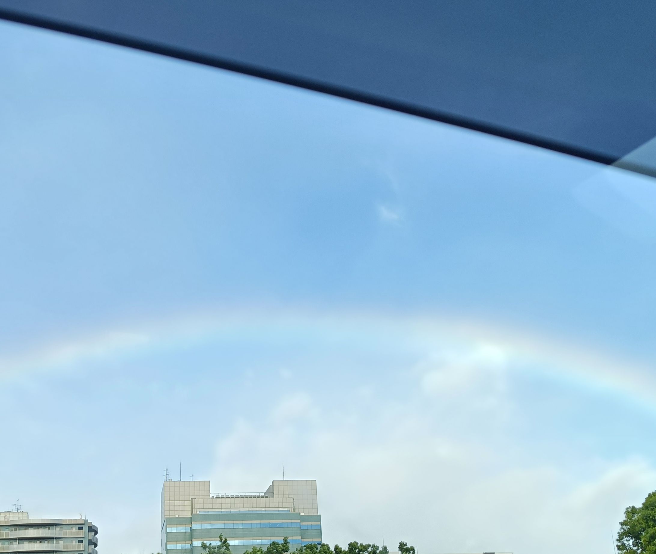 台風のあとの虹-1