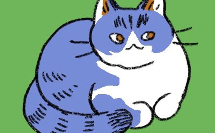 20230831 ねこ