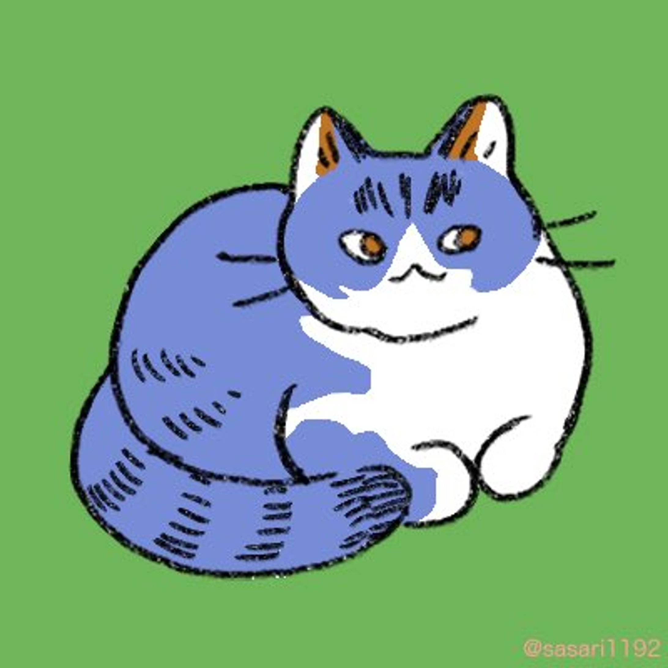 20230831 ねこ-1