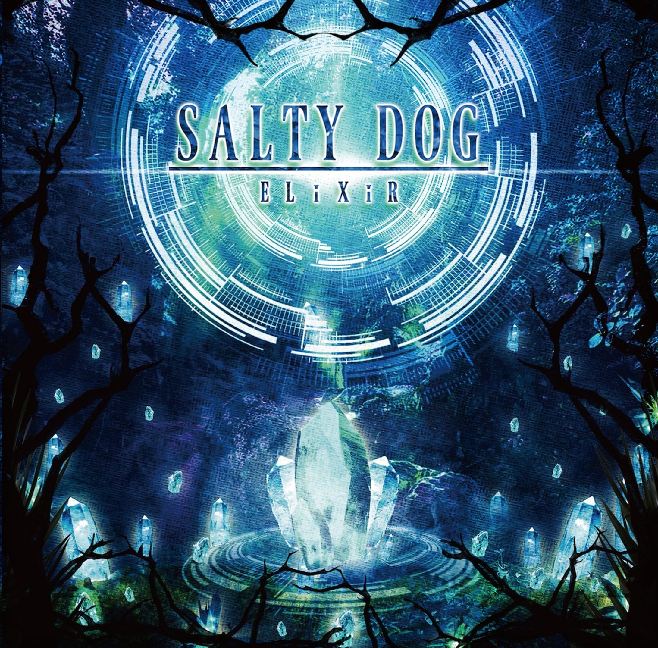 SALTY DOG - ELiXiR -1