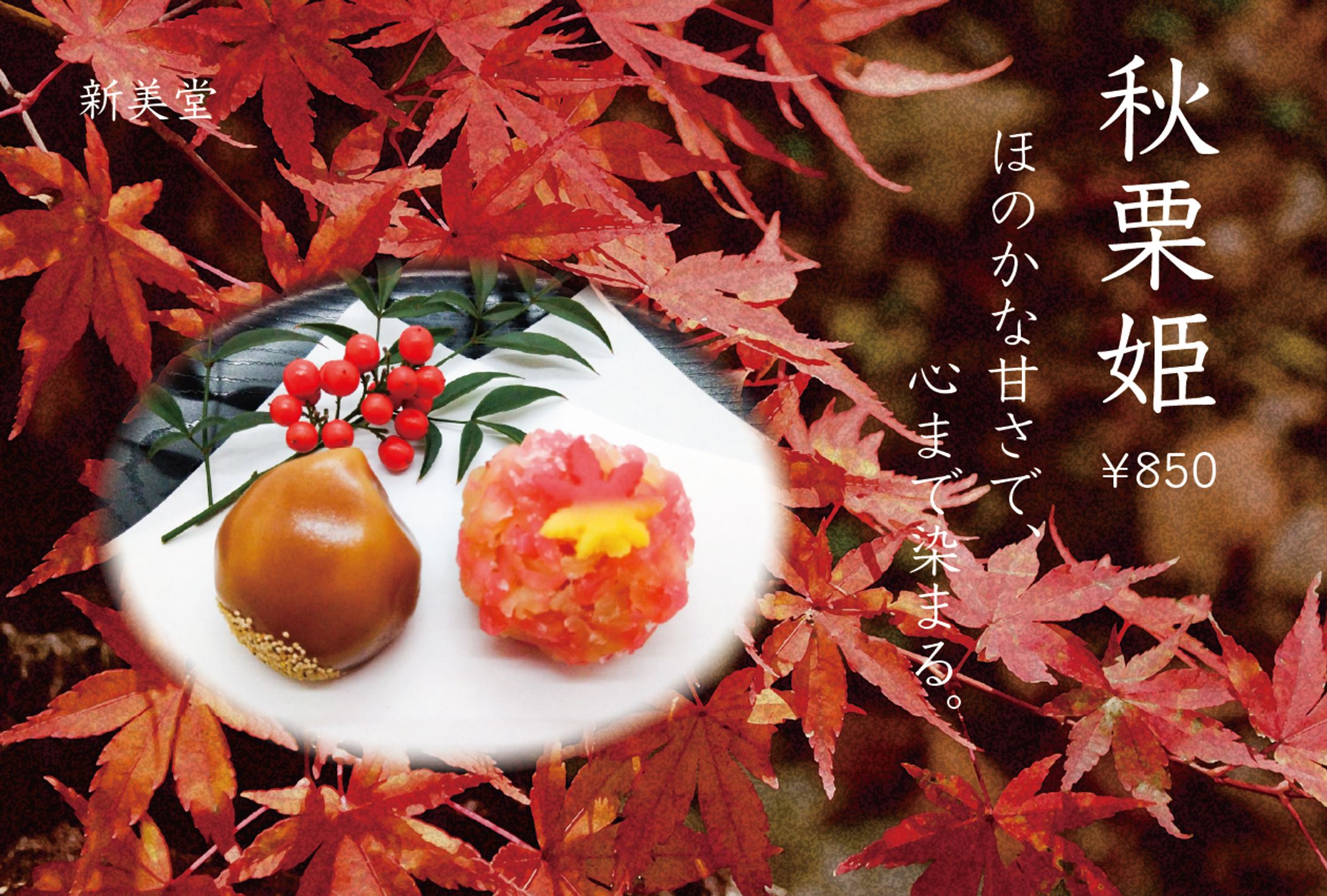 和菓子DM（スクール課題）-1