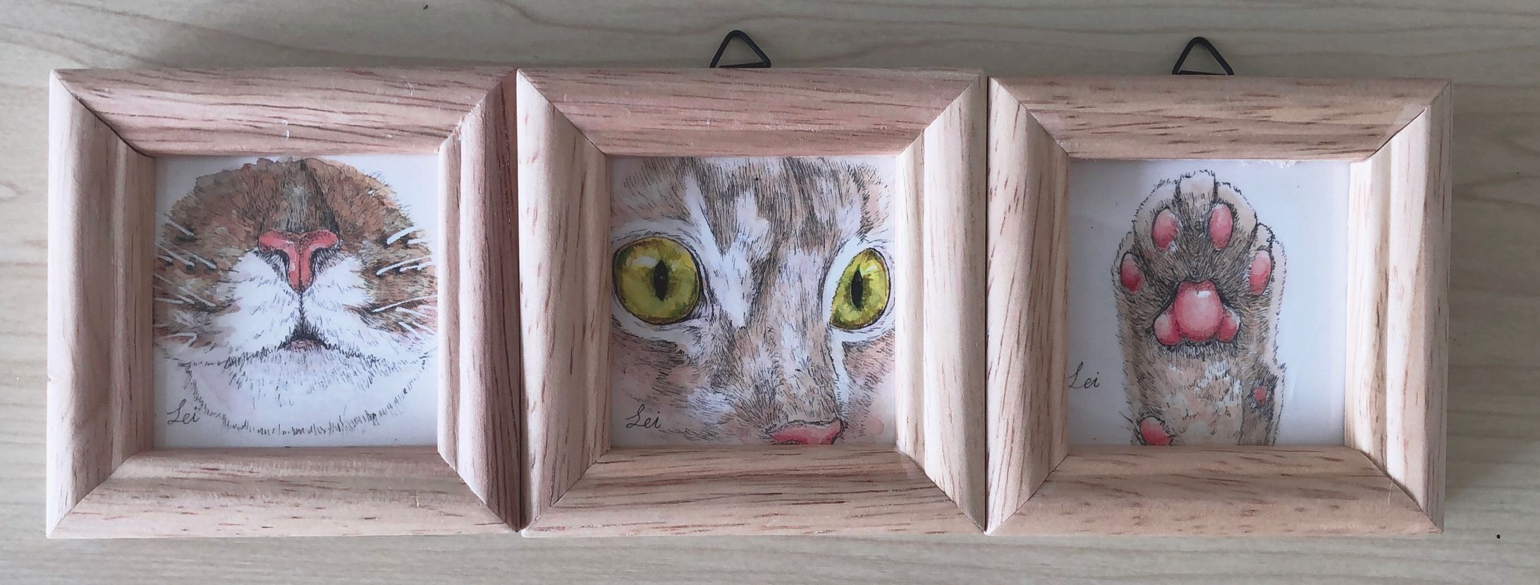 猫-1