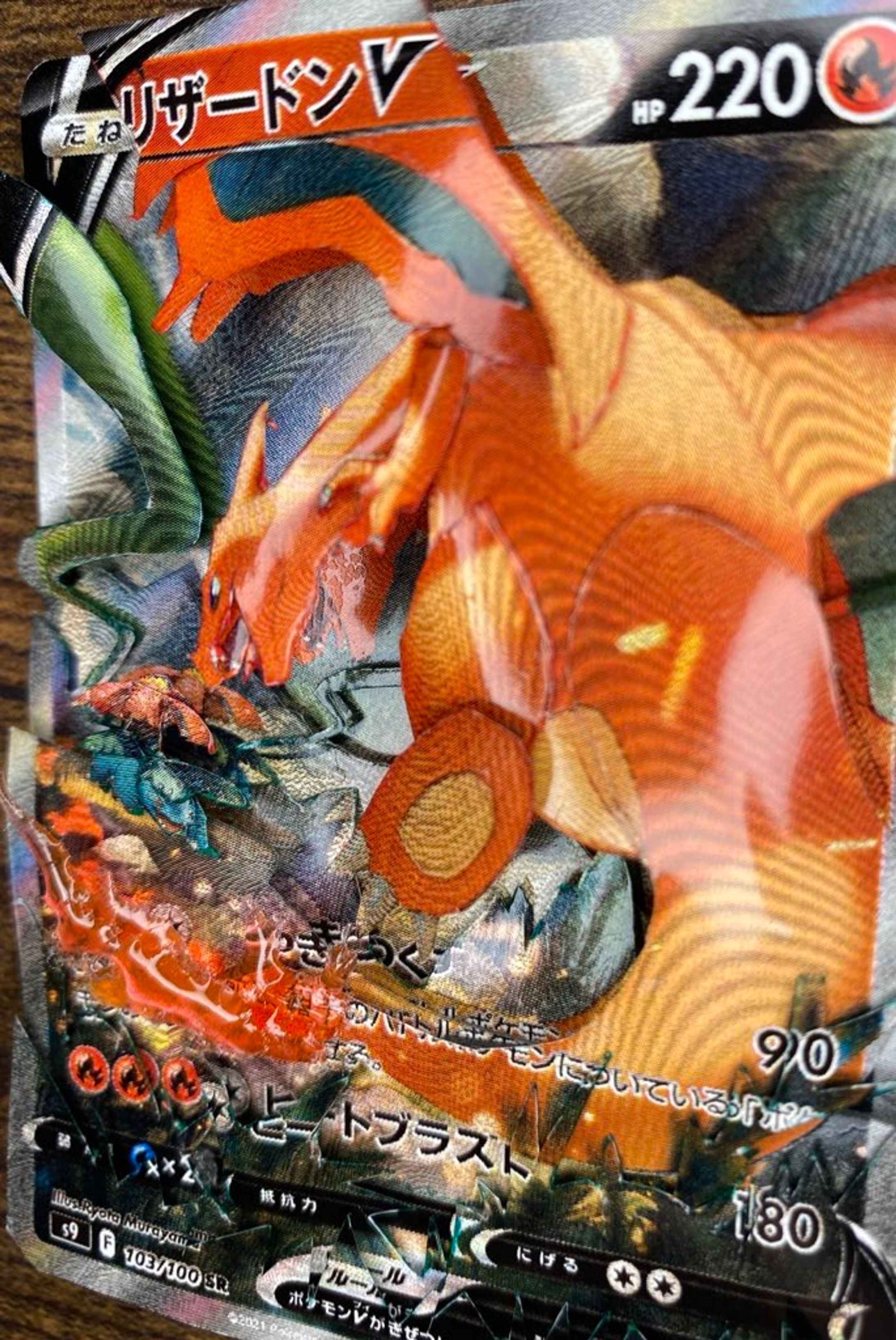 リザードン&フシギバナ-1