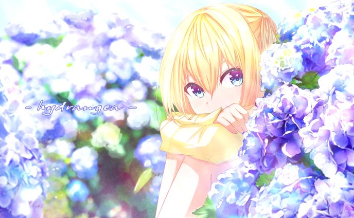 紫陽花