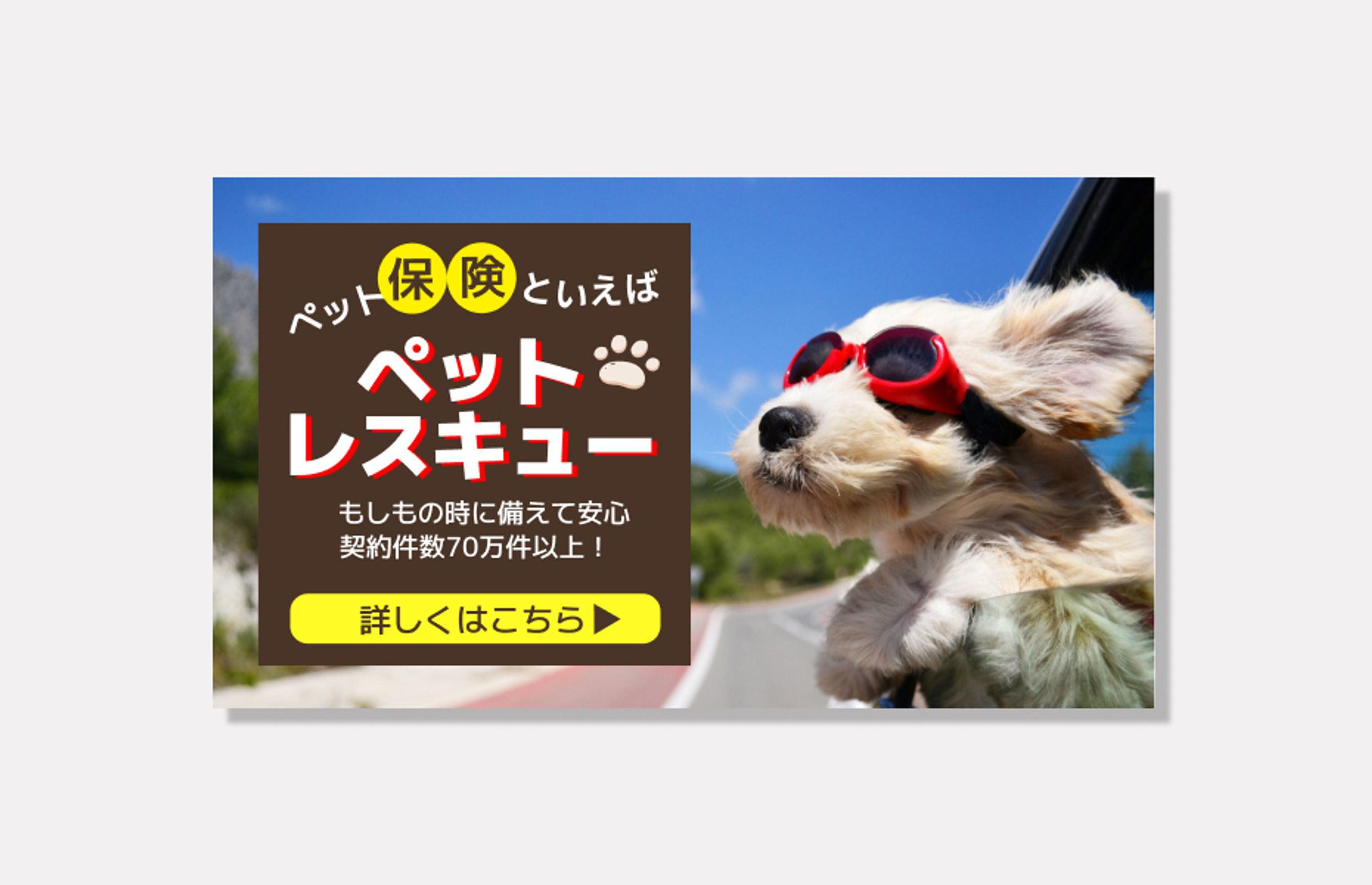 ペット保険の広告バナー-1