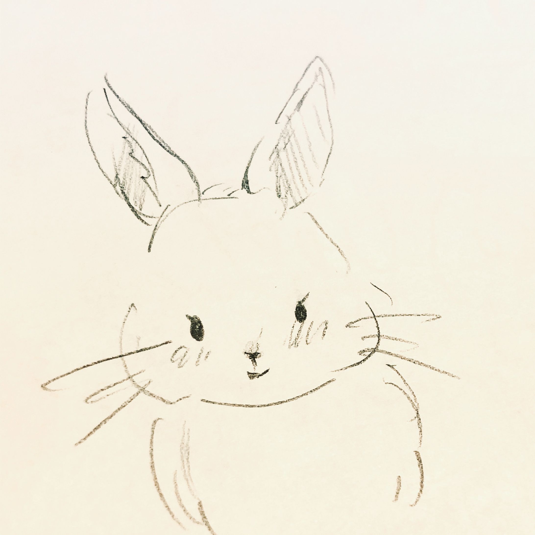 Sketch-うさぎ02-1