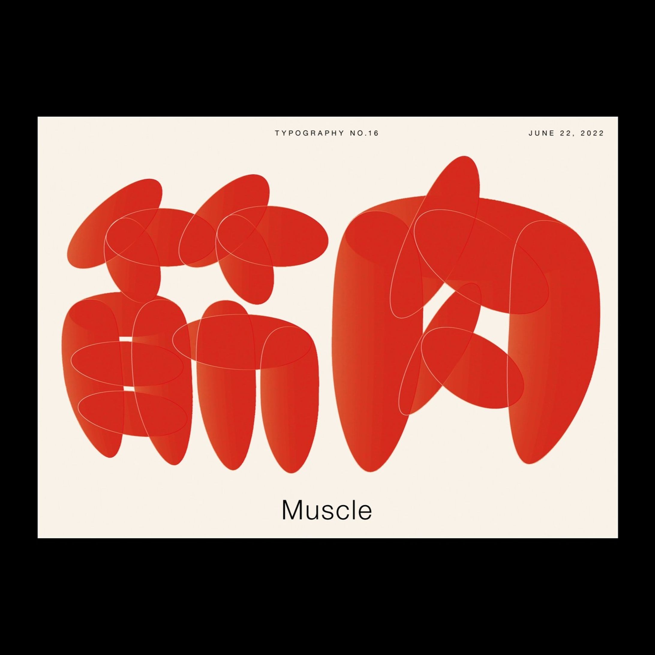 筋肉　Muscle-1