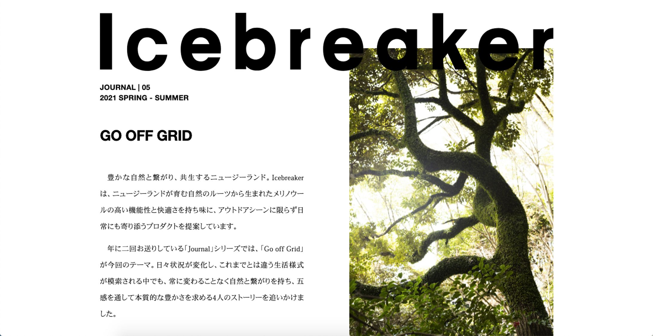 icebreaker - 2021SS-1