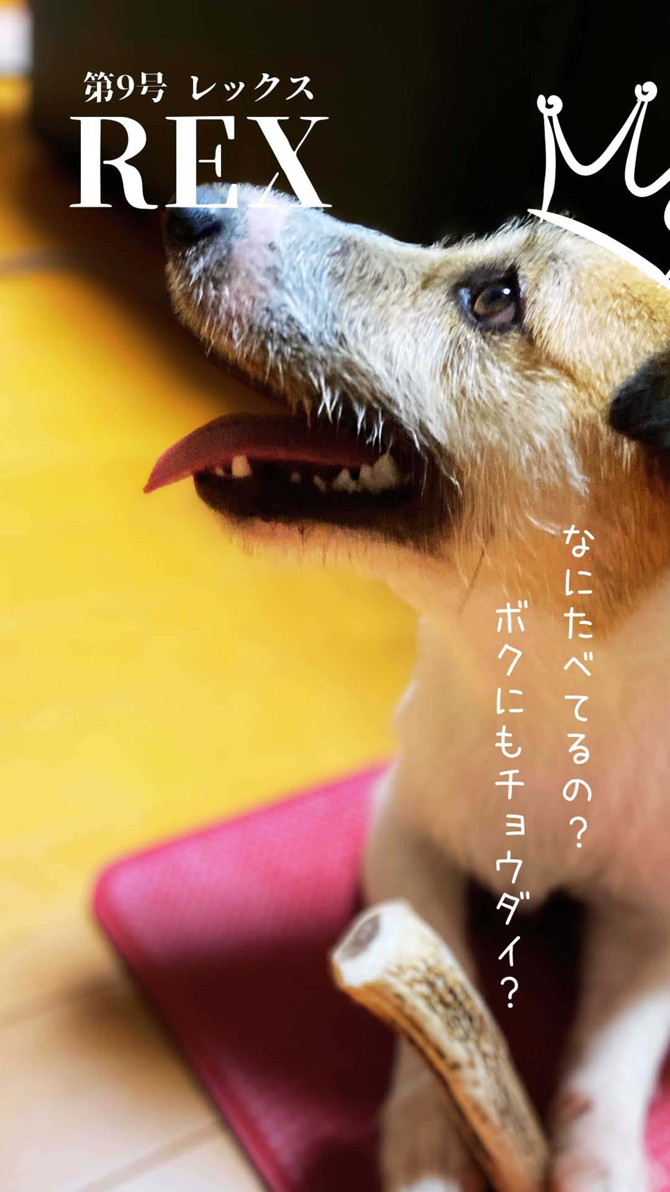 Canva/雑誌風デザイン（9）-1