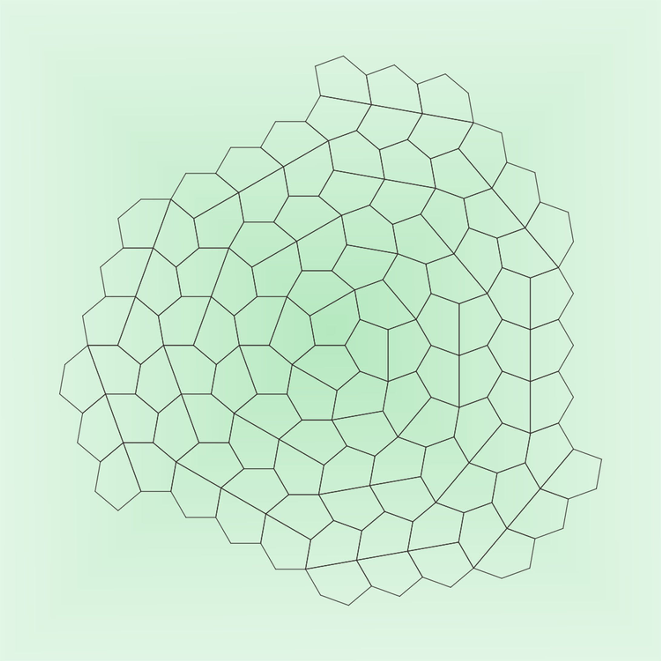 C11-T1A (pentagons and octagons)-1