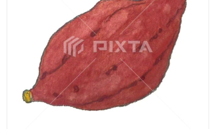 ⁡■【秋冬のお野菜】
🍠さつまいも🍠
⁡
⁡素材イラストとしてPIXTAさまにて販売中〜⁡
⁡よろしくお願いします⁡⁡🙇🏻‍♀️‪‪´-
⁡⁡⁡

⁡⁡https://pixta.jp/illustration/90294780
⁡
⁡#素材イラスト #pixta #サツマイモ #さつまいも #sweetpotato #watercolors #水彩色鉛筆 #illustration #イラスト #クライアントさんと繋がりたい #挿絵 #ブログ記事イラスト #出版社さんと繋がりたい  #食べ物イラスト #野菜イラスト #雑誌のお仕事をしたいです #飲食店さんを応援したい #書籍のお仕事をしたい