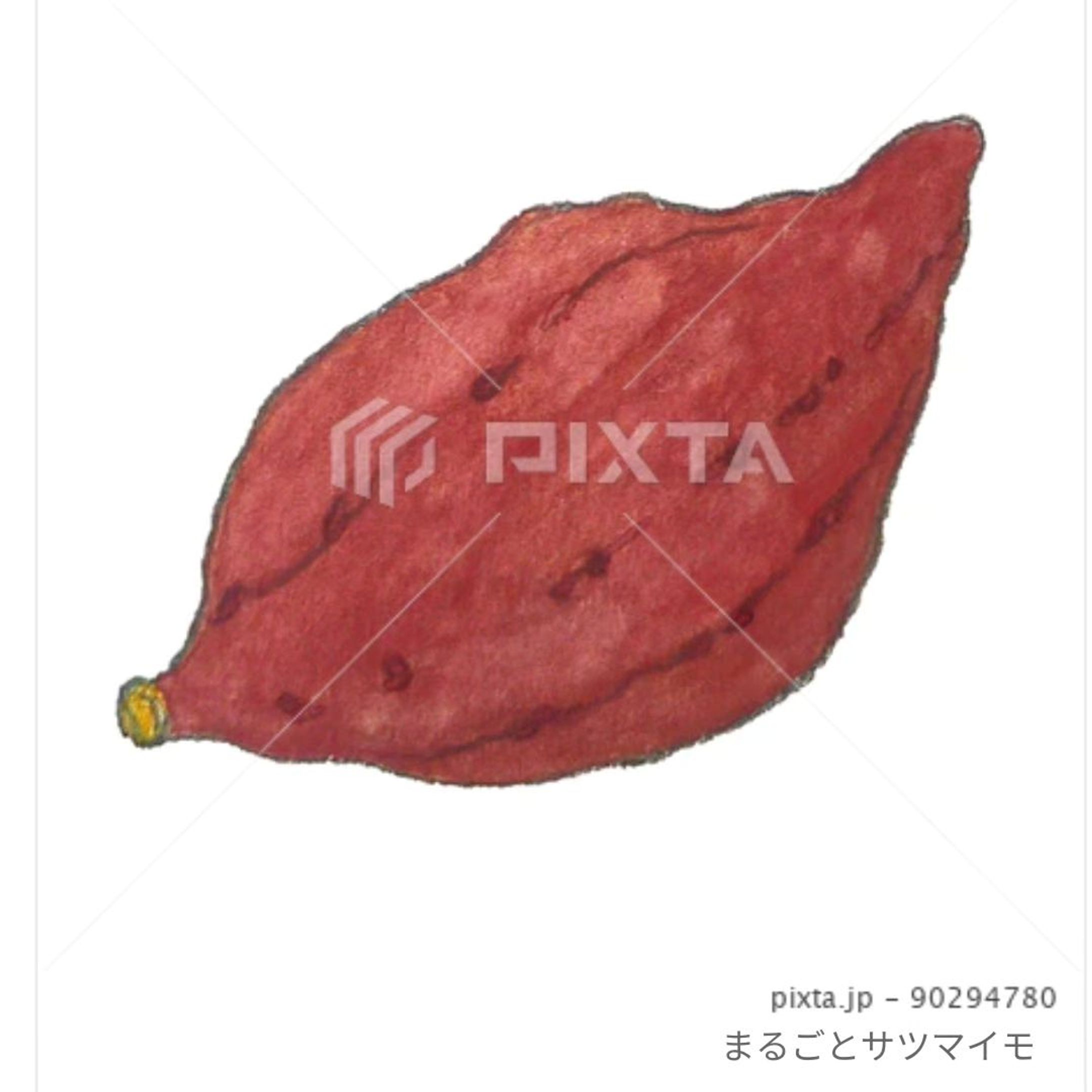 ⁡■【秋冬のお野菜】
🍠さつまいも🍠
⁡
⁡素材イラストとしてPIXTAさまにて販売中〜⁡
⁡よろしくお願いします⁡⁡🙇🏻‍♀️‪‪´-
⁡⁡⁡

⁡⁡https://pixta.jp/illustration/90294780
⁡
⁡#素材イラスト #pixta #サツマイモ #さつまいも #sweetpotato #watercolors #水彩色鉛筆 #illustration #イラスト #クライアントさんと繋がりたい #挿絵 #ブログ記事イラスト #出版社さんと繋がりたい  #食べ物イラスト #野菜イラスト #雑誌のお仕事をしたいです #飲食店さんを応援したい #書籍のお仕事をしたい-1