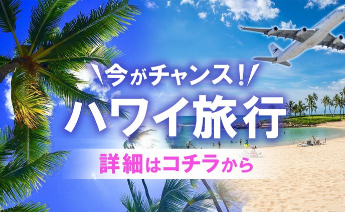 バナー：ハワイ旅行