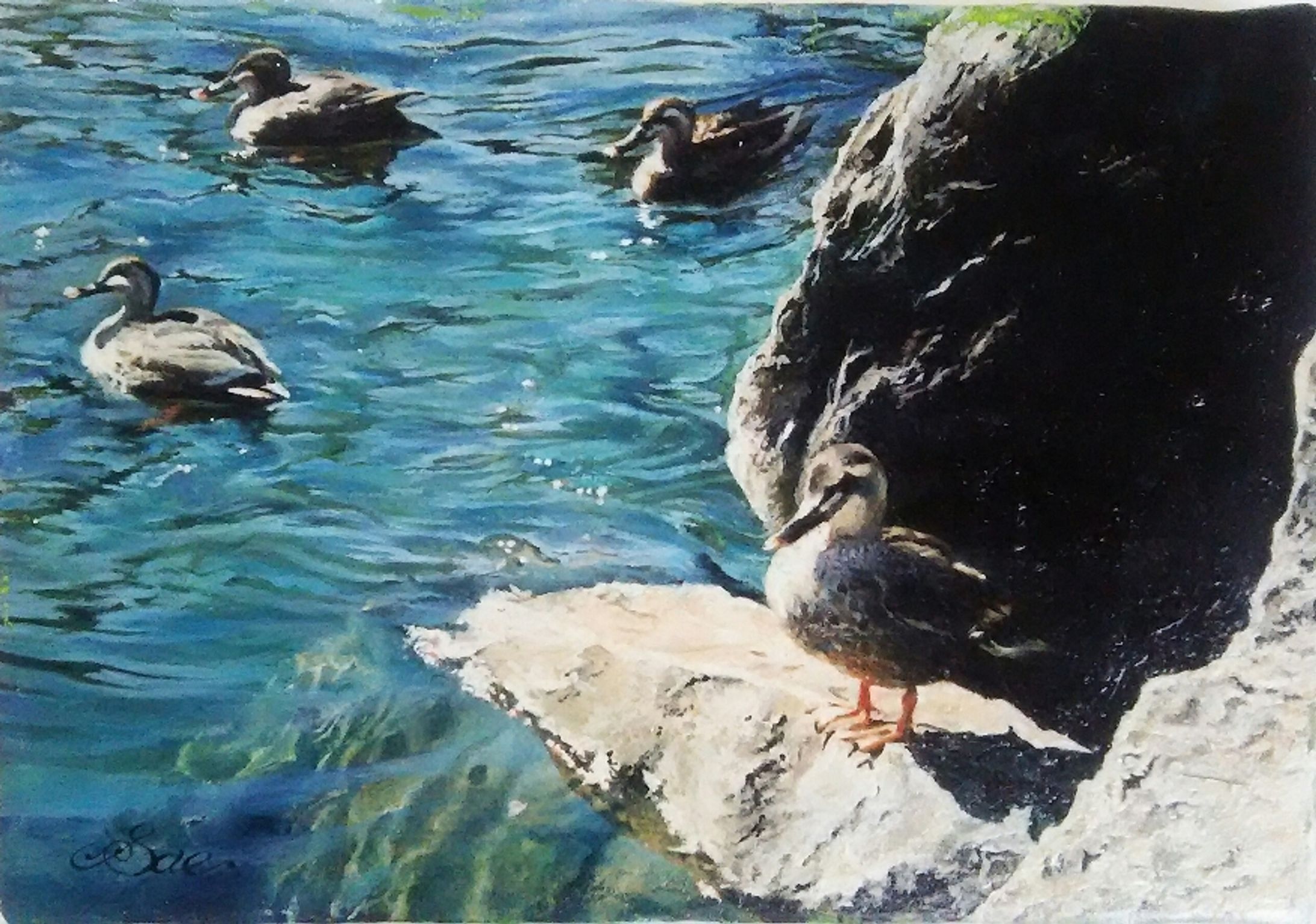 IMG 20180901 175725 1-1