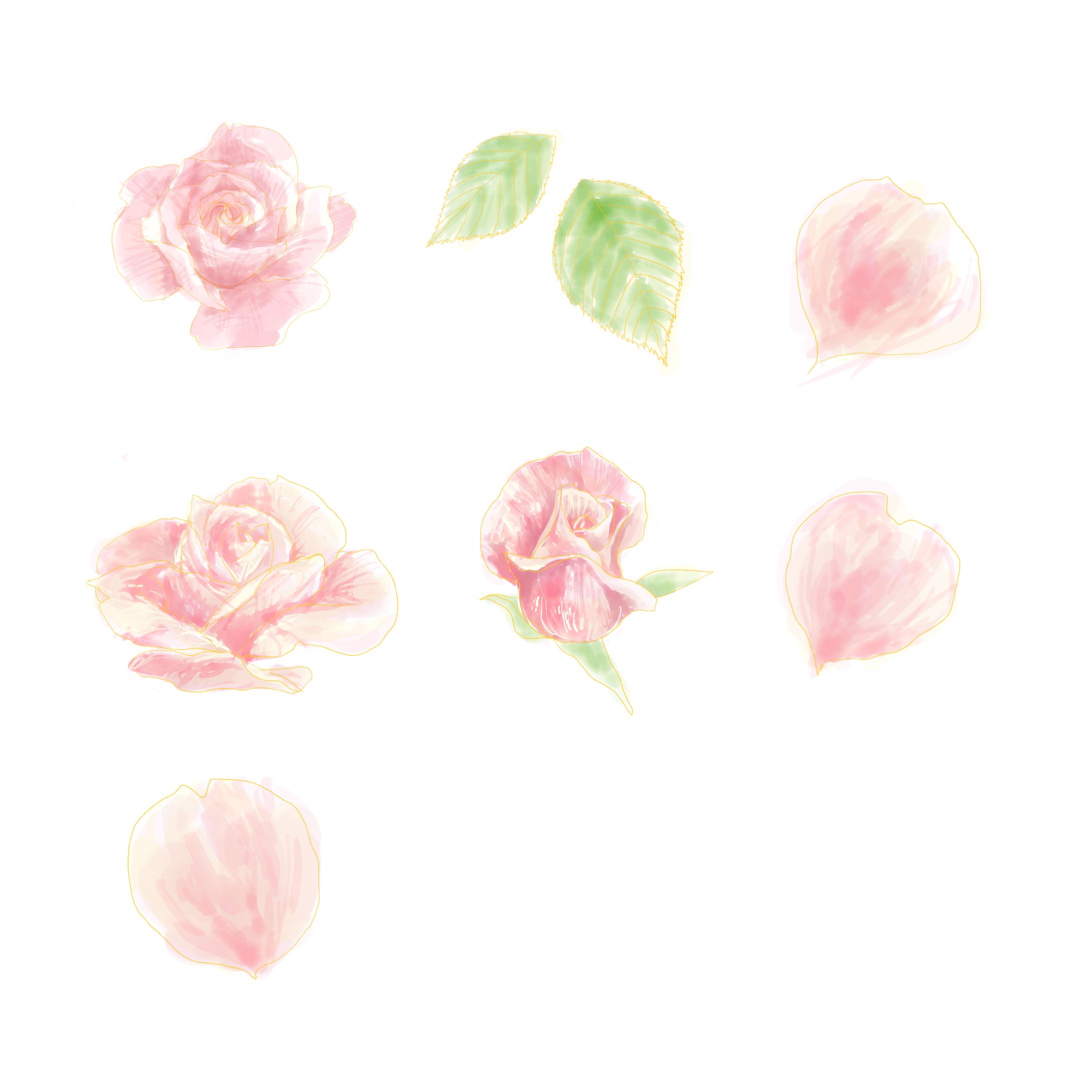 Illustration-バラ-1