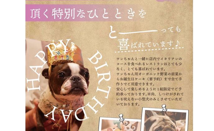 ワンチャンウェルカムフライヤー