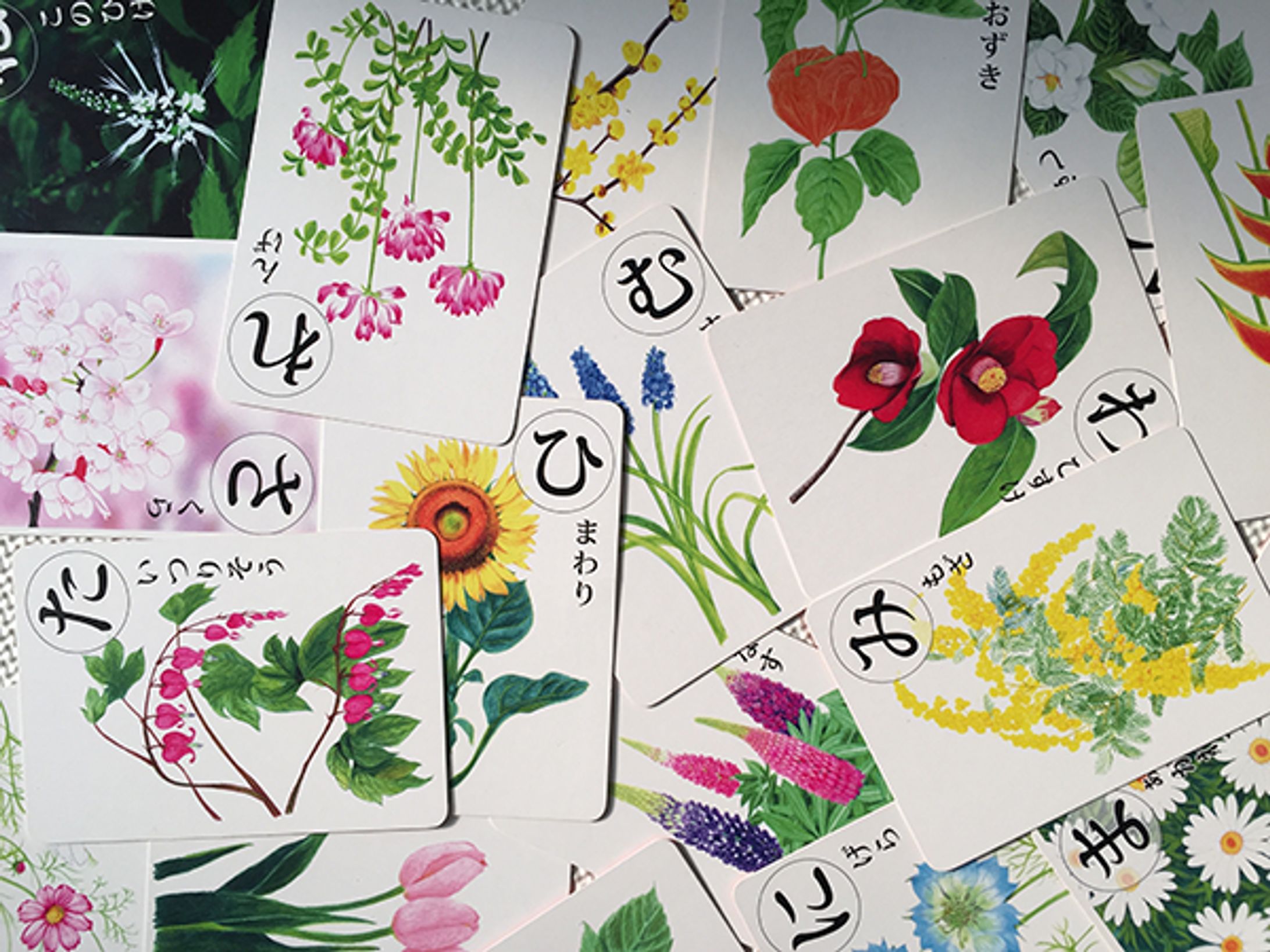 お花のかるた-1