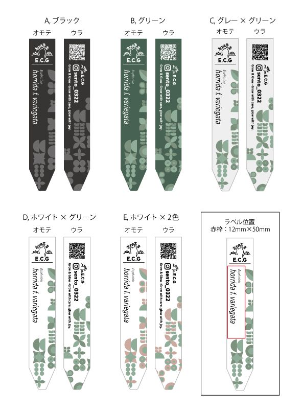 バルベルデ様専門ページ EXILE LIVE TOUR 2025 ”THE REASON” の開幕を記念してオリジナルラベル