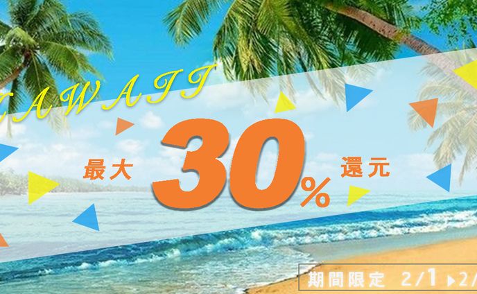 ハワイ旅行(バナー)