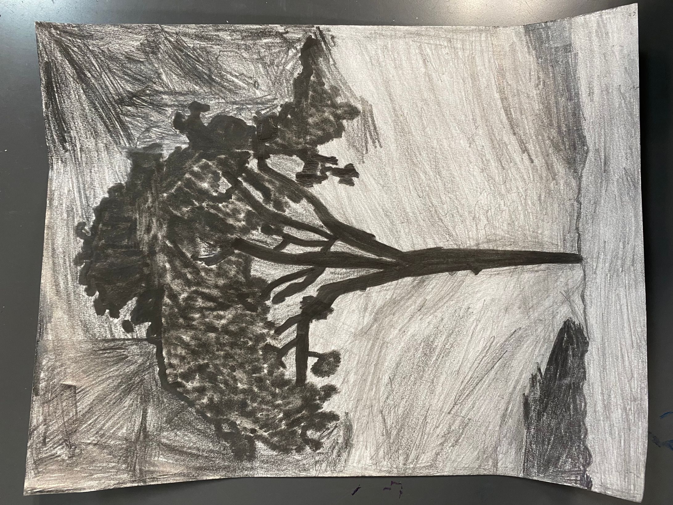 Binder Options:  The Dark Tree-1