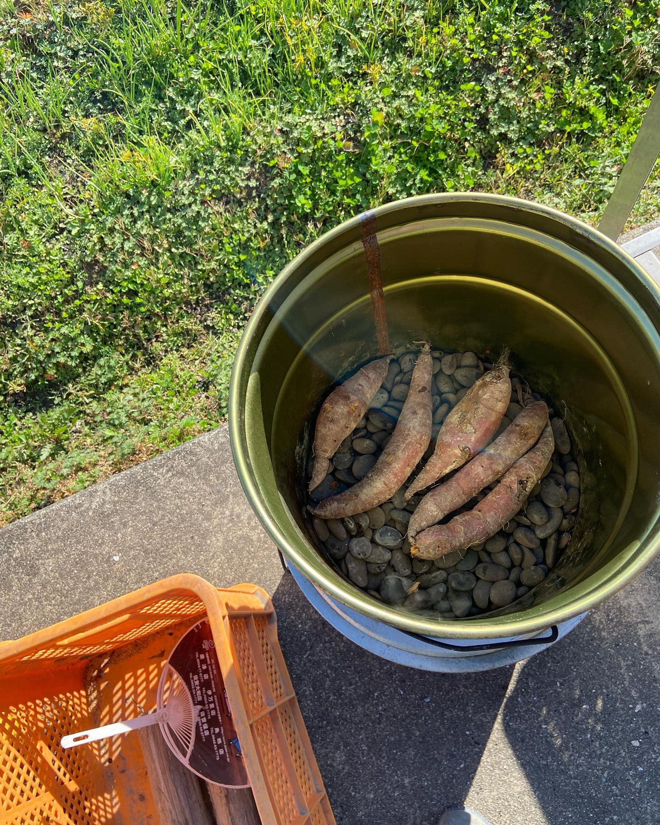 昨年秋、初めて販売したサツマイモ

思いの外ご好評いただきました。

私の力は、2割〜3割

後は、土の中のたくさんの微生物のお陰です。-1