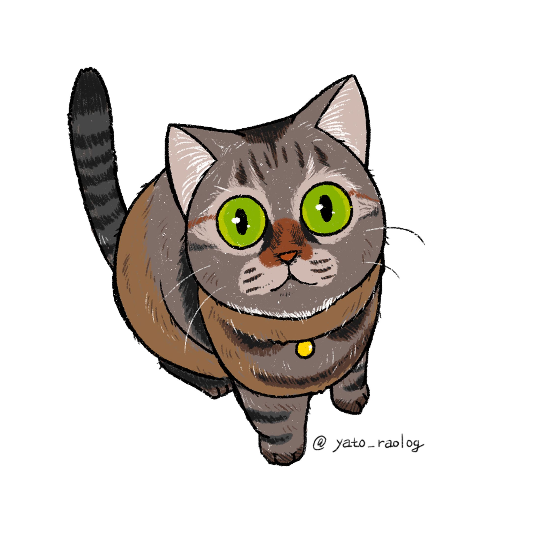 cat illustration７-1